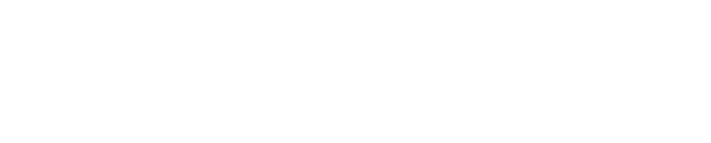 Shopify : Shopify